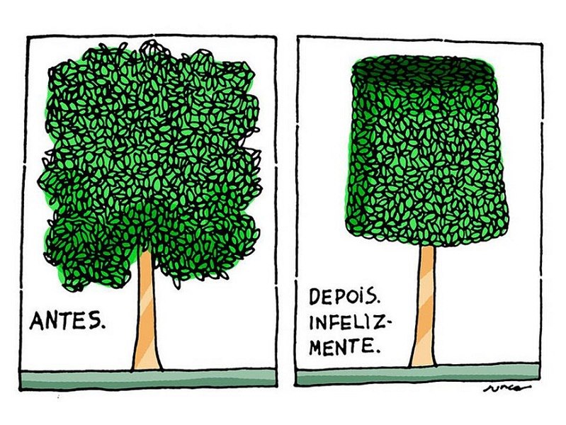 399326_520381271319852_1518413404_n