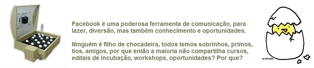 chocadeira ovos galinha