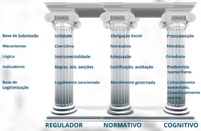 neo-institucionalismo