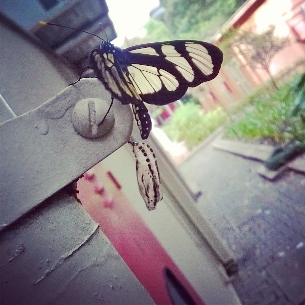 10353124_696553960391468_2762148524304906029_n