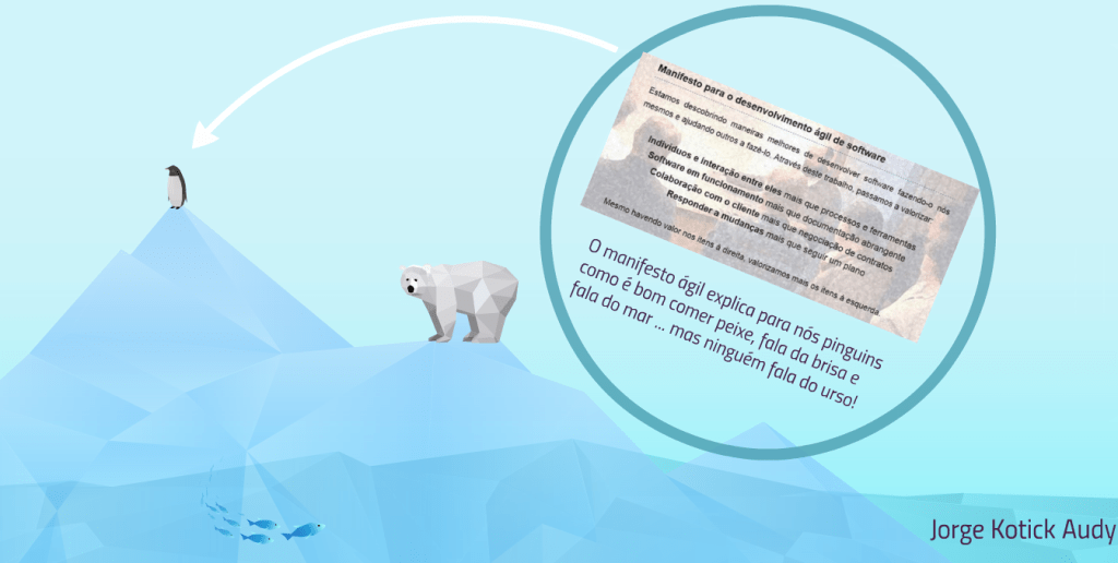 pinguins, peixes e ursos