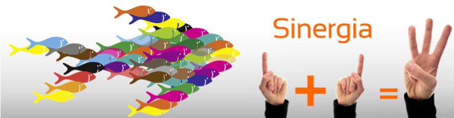 sinergia