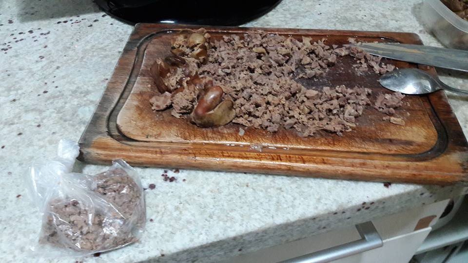 13925026_1190257794360502_5300230519912948257_n