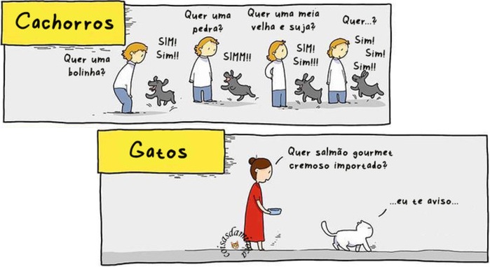 tirinha caes e gatos